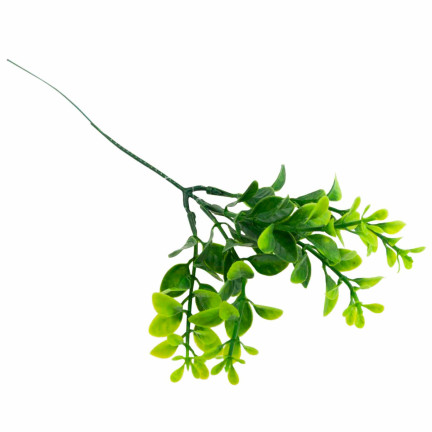 CV14404 zimostráz, borůvka, kytice, eukalyptus, husté větvičky, 6 ks, na velikonoční dekorace
