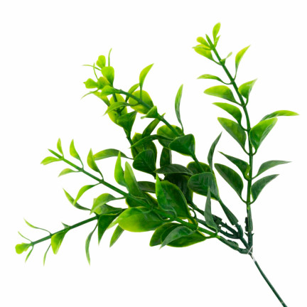 CV14404 zimostráz, borůvka, kytice, eukalyptus, husté větvičky, 6 ks, na velikonoční dekorace