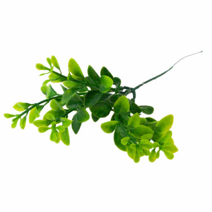 CV14404 zimostráz, borůvka, kytice, eukalyptus, husté větvičky, 6 ks, na velikonoční dekorace