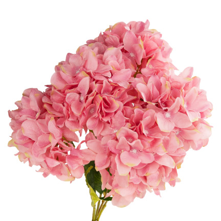 CV15124-3 hortenzie, kytice z 5 květů, růžová, 50 cm, krásná a hustá, do vázy
