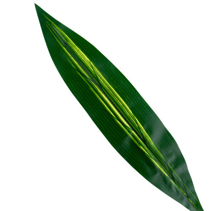 CV15772 dracena, zelený list draceny s pikokovým vzorem, umělé květiny, 60 cm, šavle do aranžmá