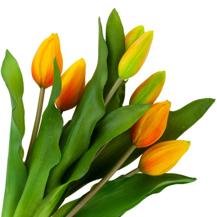 CV18674-8 tulipány, kytice tulipánů, gumové, jako živé, silikonové, oranžové