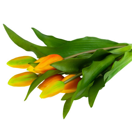 CV18674-8 tulipány, kytice tulipánů, gumové, jako živé, silikonové, oranžové