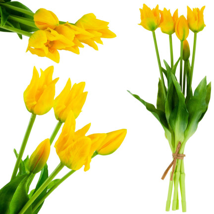 CV17691-3 tulipány, tulipánová kytice, papouščí tulipány, pogumované, 5 ks, jako živé