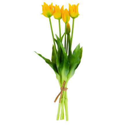 CV17691-3 tulipány, tulipánová kytice, papouščí tulipány, pogumované, 5 ks, jako živé