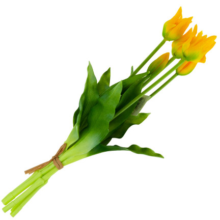 CV17691-3 tulipány, tulipánová kytice, papouščí tulipány, pogumované, 5 ks, jako živé