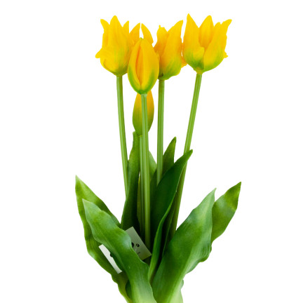 CV17691-3 tulipány, tulipánová kytice, papouščí tulipány, pogumované, 5 ks, jako živé