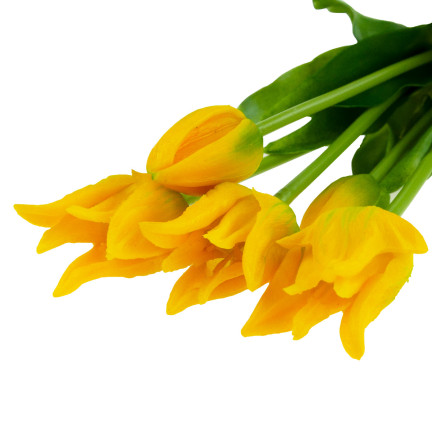 CV17691-3 tulipány, tulipánová kytice, papouščí tulipány, pogumované, 5 ks, jako živé