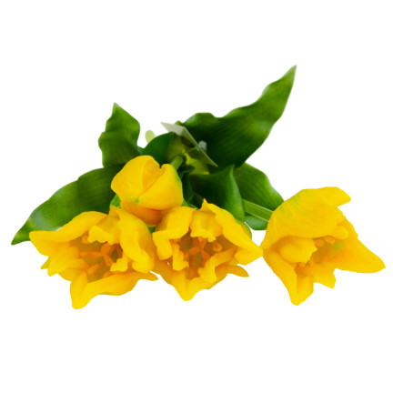 CV17691-3 tulipány, tulipánová kytice, papouščí tulipány, pogumované, 5 ks, jako živé