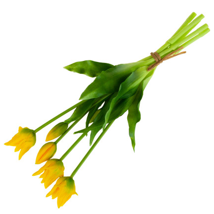 CV17691-3 tulipány, tulipánová kytice, papouščí tulipány, pogumované, 5 ks, jako živé