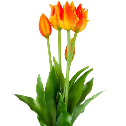 CV17691-4 tulipány papouščí tulipán kytice gumové jako živé oranžové