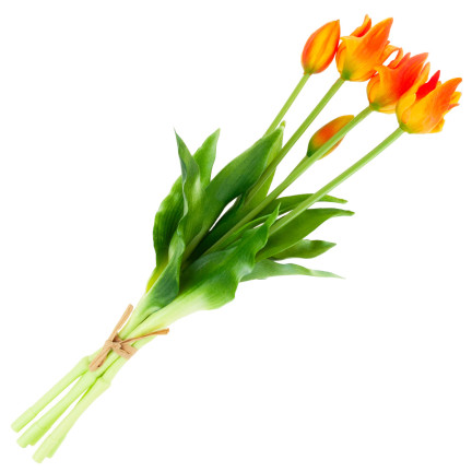 CV17691-4 tulipány papouščí tulipán kytice gumové jako živé oranžové