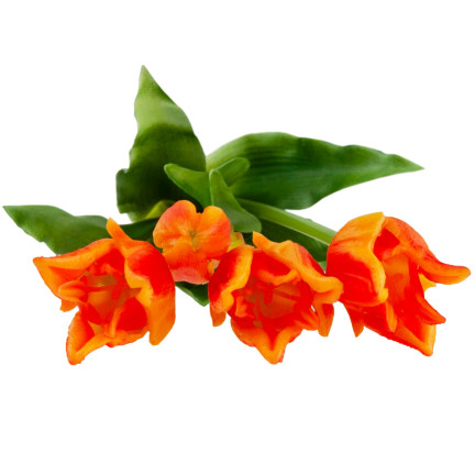 CV17691-4 tulipány papouščí tulipán kytice gumové jako živé oranžové