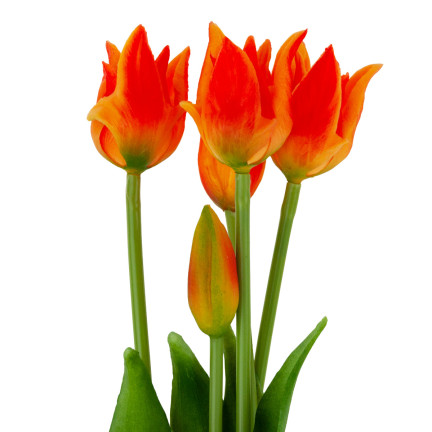 CV17691-4 tulipány papouščí tulipán kytice gumové jako živé oranžové