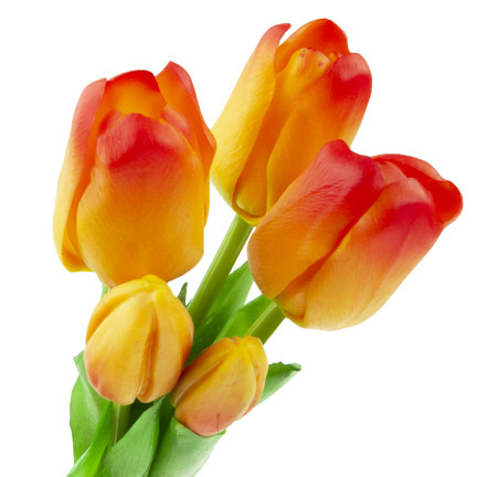 CV17692-4 tulipány, kytice tulipánů, gumové, jako živé, realistické, oranžové