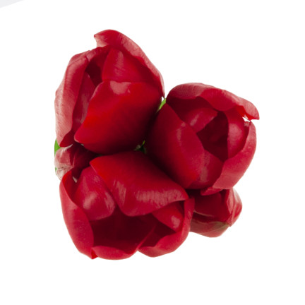 CV17692-7 tulipány, kytice tulipánů, gumové, jako živé, realistické, červené