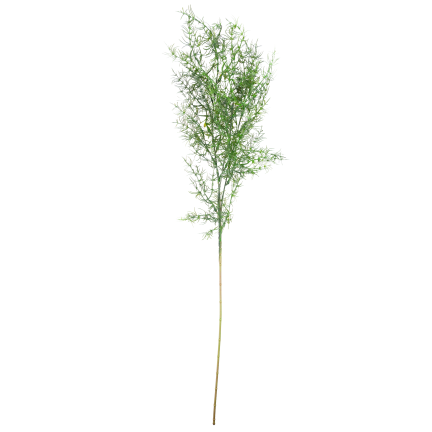 Dekorativní větvička asparagus, umělé květiny, doplněk do kytic, 80 cm