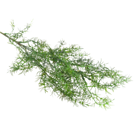 Dekorativní větvička asparagus, umělé květiny, doplněk do kytic, 80 cm
