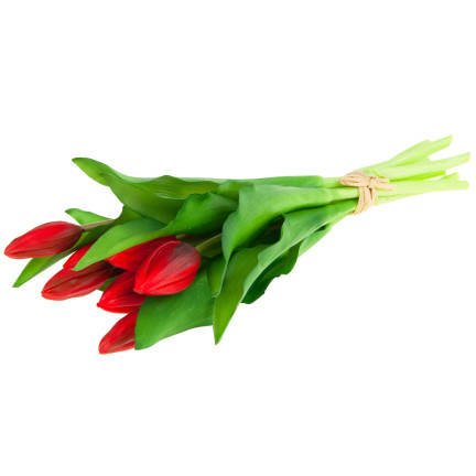 CV18674-11 tulipány, kytice tulipánů, pogumované, gumové, jako živé, silikonové, červené