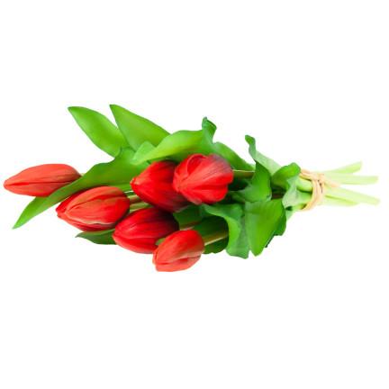 CV18674-11 tulipány, kytice tulipánů, pogumované, gumové, jako živé, silikonové, červené