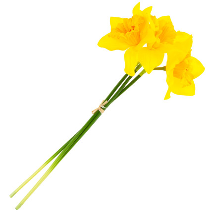 CV21321-3 narcisy, kytice umělých okrasných květin, narcis v kytici, pogumované