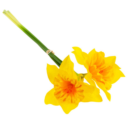 CV21321-3 narcisy, kytice umělých okrasných květin, narcis v kytici, pogumované