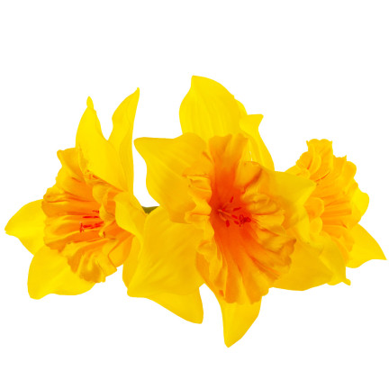 CV21321-3 narcisy, kytice umělých okrasných květin, narcis v kytici, pogumované