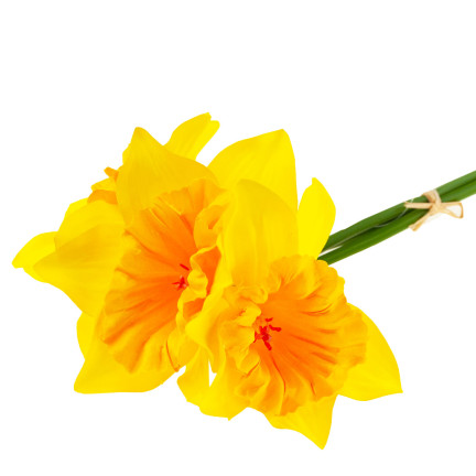 CV21321-3 narcisy, kytice umělých okrasných květin, narcis v kytici, pogumované