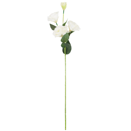 CV21840-1 eustoma, větvička se 4 květenstvími, bílá, jemná, divoká růže
