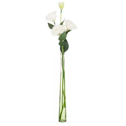 CV21840-1 eustoma, větvička se 4 květenstvími, bílá, jemná, divoká růže