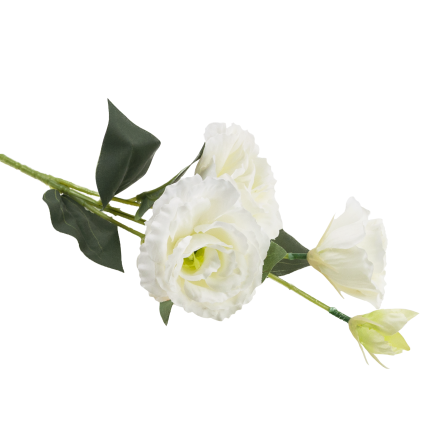CV21840-1 eustoma, větvička se 4 květenstvími, bílá, jemná, divoká růže