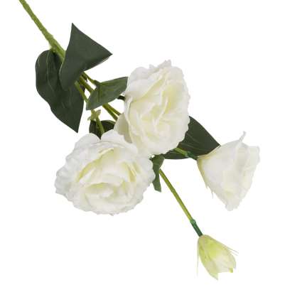 CV21840-1 eustoma, větvička se 4 květenstvími, bílá, jemná, divoká růže