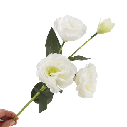 CV21840-1 eustoma, větvička se 4 květenstvími, bílá, jemná, divoká růže