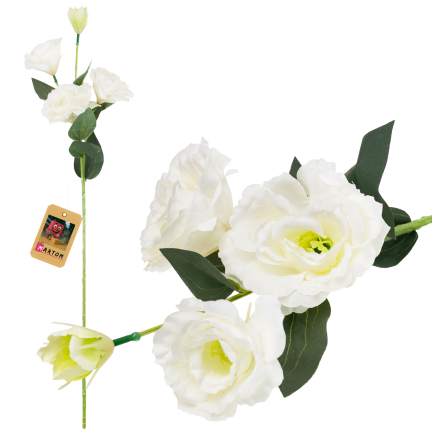 CV21840-1 eustoma, větvička se 4 květenstvími, bílá, jemná, divoká růže