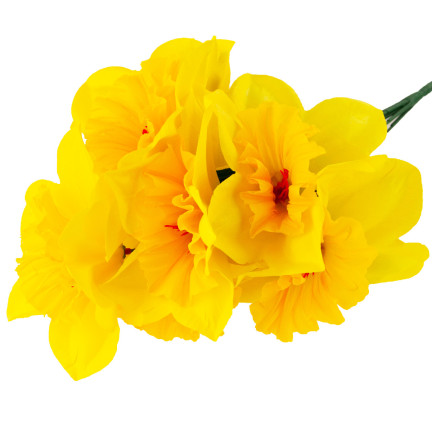 CV22107 kytice narcisů, umělé narcisy, květiny do vázy, jarní aranžmá