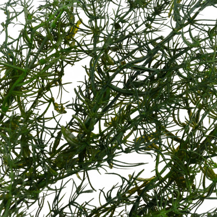 CV13686-3 dekorativní větvička asparagus, umělé květiny, ozdobný doplněk do kytice na hrob