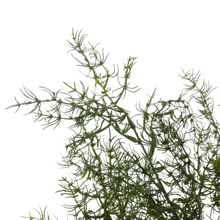 CV13686-3 dekorativní větvička asparagus, umělé květiny, ozdobný doplněk do kytice na hrob