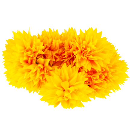 CV23704-3 chryzantéma, kytice 12 květů, umělá, 50 cm, žlutá
