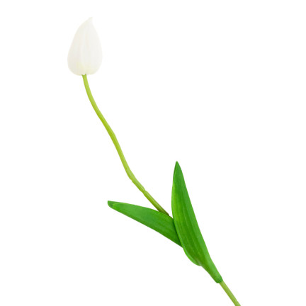 CV26799-1 umělý pogumovaný tulipán, bílý, krásný jako živý, pěnové tulipány, dekorace