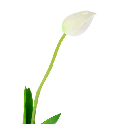 CV26799-1 umělý pogumovaný tulipán, bílý, krásný jako živý, pěnové tulipány, dekorace