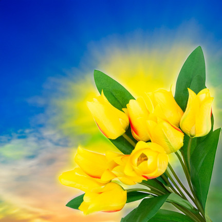 CV26811-8 velký kytice tulipánů X9 umělé květiny tulipány v kytici ze silikonu