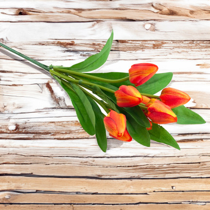 CV26813-3 tulipán, kytice tulipánů, krásná jako živé tulipány, oranžové květy, X9