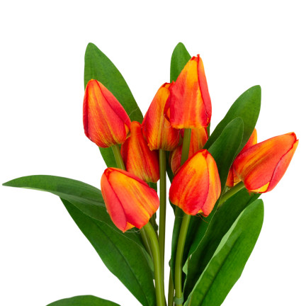 CV26813-3 tulipán, kytice tulipánů, krásná jako živé tulipány, oranžové květy, X9