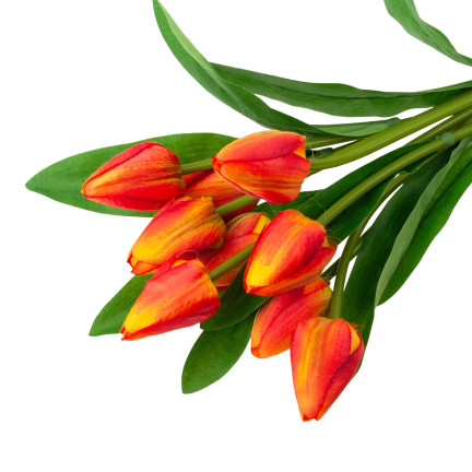 CV26813-3 tulipán, kytice tulipánů, krásná jako živé tulipány, oranžové květy, X9