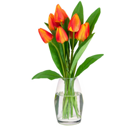 CV26813-3 tulipán, kytice tulipánů, krásná jako živé tulipány, oranžové květy, X9