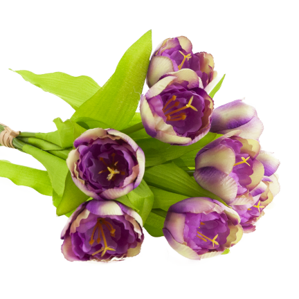 CV27020-10 kytice tulipánů s pogumovanou stopkou, 9 květů, fialová