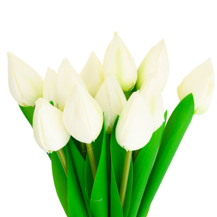 CV27025-1 tulipány, kytice tulipánů, krásná jako živé tulipány, bílé květy, 12 květů