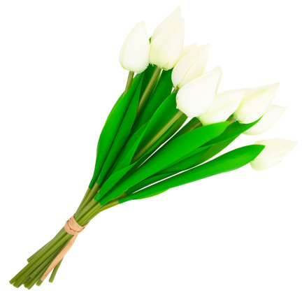 CV27025-1 tulipány, kytice tulipánů, krásná jako živé tulipány, bílé květy, 12 květů