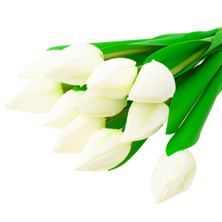 CV27025-1 tulipány, kytice tulipánů, krásná jako živé tulipány, bílé květy, 12 květů
