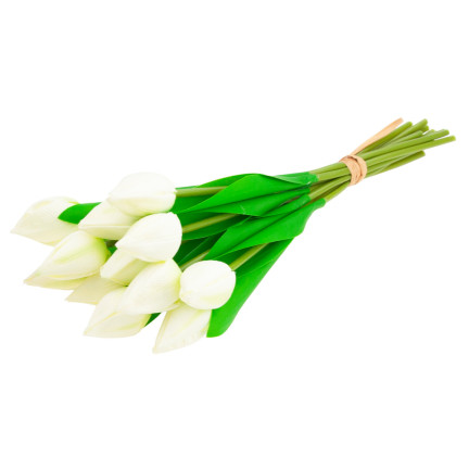 CV27025-1 tulipány, kytice tulipánů, krásná jako živé tulipány, bílé květy, 12 květů